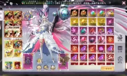 天外飞仙（剑心吟）双开挂机软件推荐  怎么双开天外飞仙（剑心吟）详细图文教程