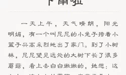 雨后的故事：洗去尘埃的心灵旅程