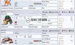 《宝可梦朱紫》双打下石鸟队伍分享