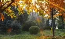 《勇者斗恶龙英雄2》小金币获得方法及兑换道具一览 小金币怎么获得