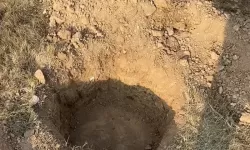 搜一个大黄色的挖坑：都市奇闻趣事揭秘