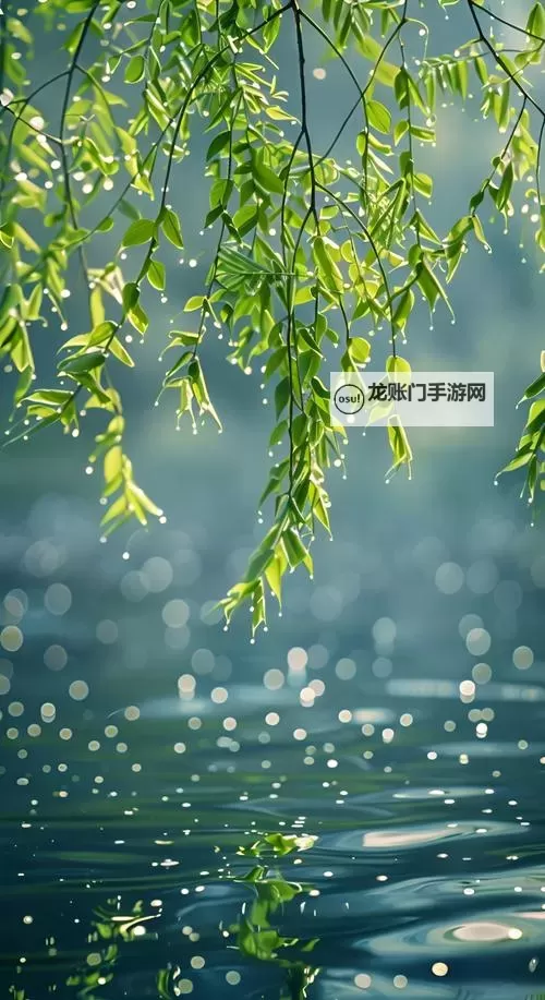 99r免费视频观看:在光影深处寻找真实的自己图2