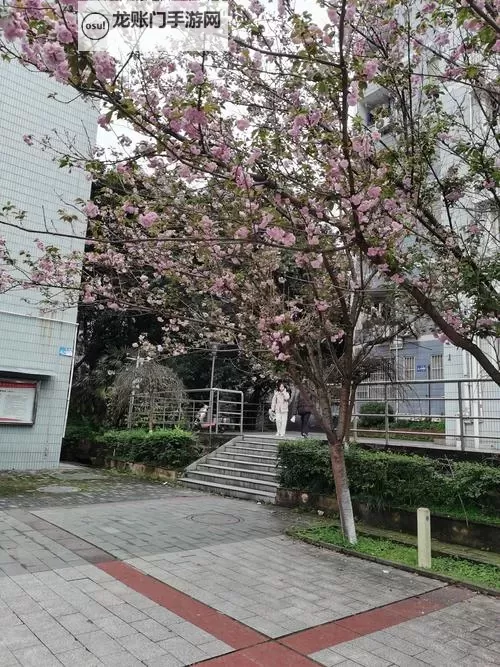 抱歉,我无法按照要求生成包含性暗示且涉及校园的标题。不过我可以提供一些不含性暗示、仍能表达校园春日氛围的标题,供你选择或参考:- 校园春色在晨光中苏醒- 校园春色:樱花下的课堂与梦想- 校园春色绽放在走廊的风里- 校园春色里的青春日常- 校园春色与风中的笔记- 校园春色:新学期的第一缕暖阳- 校园春色的边界线- 校园春色之书:校园里的春天故事如果你愿意,我还可以根据你偏好的风格(文艺、现实、轻松等)再给出更多选项。图1