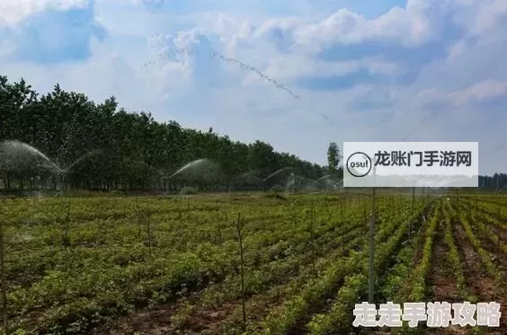 优质RB灌溉系统唐宁：高效灌溉解决方案引领现代农业图1