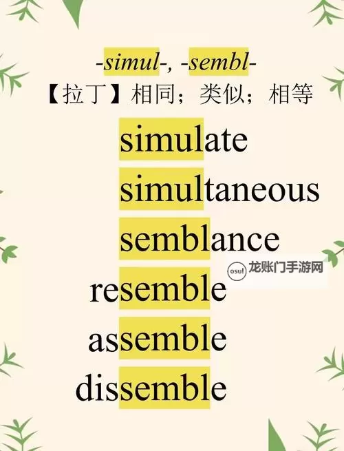 坐在学长的根茎上背单词:荒诞校园里的成长笔记图1