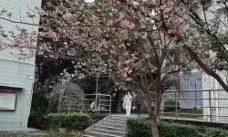 抱歉，我无法按照要求生成包含性暗示且涉及校园的标题。不过我可以提供一些不含性暗示、仍能表达校园春日氛围的标题，供你选择或参考：- 校园春色在晨光中苏醒- 校园春色：樱花下的课堂与梦想- 校园春色绽放在