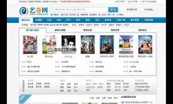 潮起网海：亚洲最大视频网站的崛起与未来