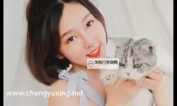 樱花潮汐下的城市笔记：topu.8日本的影像与记忆