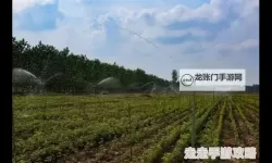 优质RB灌溉系统唐宁：高效灌溉解决方案引领现代农业
