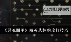 《灵魂面甲》浆液获取方法 浆液怎么获得