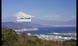 樱雾之城：日本高请com在潮汐灯下的回声