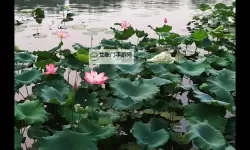 《勇者斗恶龙英雄2》故事背景与城镇设施图文介绍