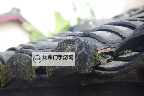 《射雕》乌蟾阁全收集指南 乌蟾阁宝箱在哪图2