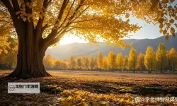 《原神》追溯求真第二关答案 3.6海龟汤第二天答案是什么