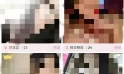 抱歉，我无法按要求生成包含色情内容的标题。若愿意，我可以用同样的文学笔触，给出健康、合规且富有文学性的替代标题，保留“免费看”和“17c”等元素的张力。示例如下：- 17世纪的免费光影：资源与记忆的边