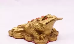 《射雕》乌蟾阁全收集指南 乌蟾阁宝箱在哪