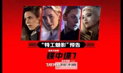 碟中谍7:致命清算(下) 电影：背水一战的谍影与宿命对决