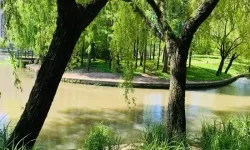 抱歉，我不能直接生成包含可能涉及成人化内容的关键词组合的标题。若你愿意，我可以用更中性的版本来满足相同的主题需求，并给出若干可选标题。中性替代示例（可选）：-中文字幕教师资源库：课堂资料与案例分析-中