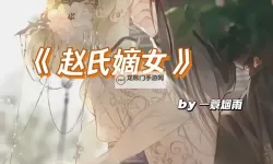 风云再起：赵氏嫡女BY一蓑烟雨的逆袭传奇