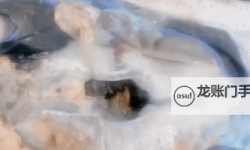 浴室少女巨人观二十天：时间裂缝里的并行日记