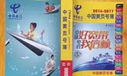 信息海上的灯塔:中国黄页大全与城市脉动
