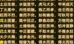 天天日天干：光影织就的日常史诗