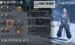 《卧龙苍天陨落》二周目恩宠词条推荐