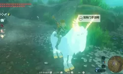 《塞尔达传说荒野之息》赚钱攻略 初期赚钱方法四则