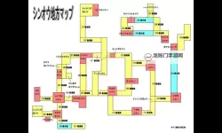 《宝可梦晶灿钻石明亮珍珠》对战塔单打阵容推荐