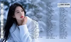 最近中文高清MV免费版上线,带你畅享最新热曲的高清视听盛宴