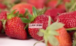 草莓视频啊啊啊啊啊:从入门到精通的短视频创作指南