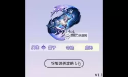 《崩坏星穹铁道》1.1版银狼全面培养指南 银狼出装与队伍搭配参考