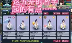 有没有梦幻仙游双开软件推荐 深度解答如何双开梦幻仙游