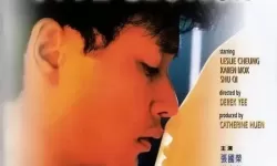 迷雾档案：黄色一级蝶片二区的隐秘编号